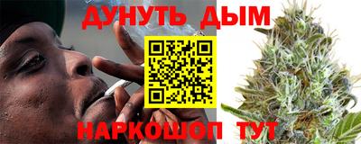 шишки Кингисепп