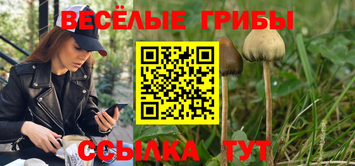 Краснодар  Псилоцибиновые грибы ЛСД  Вход с VPN 